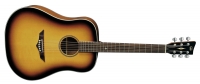 Guitare folk VGS x RT 10