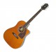 Guitare folk Epiphone Masterbilt AJ-500RCE Ltd