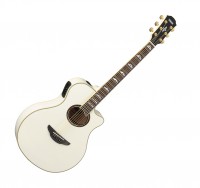 Yamaha APX1000