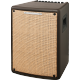 Ampli electro-acoustique Ibanez Troubadour T80II