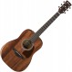 Guitare folk Ibanez AW54JR OPN Junior Artwood