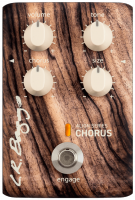 Lr baggs Align Chorus