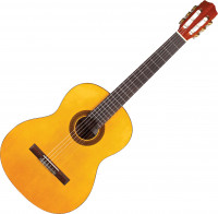 Cordoba Protege C1
