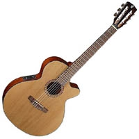 Cort Classic CEC 5