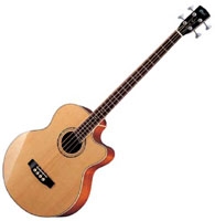 Basse acoustique & électro Cort Signature Mark Egan