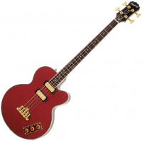 Basse 4 Cordes Epiphone Allen Woody Rumblekat