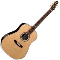 Seagull Serie Artist Studio