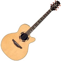 Guitare électro-acoustique Takamine Noveau & Santa Fe TSF48C