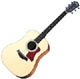 Guitare folk Taylor 100 series 110