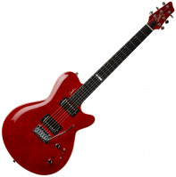 Guitare électrique Godin Signature Daryl Stuermer DS-1