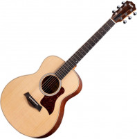 Taylor GS Mini-e QS Ltd