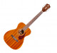 Guitare folk Guild Westerly M-120 Westerly