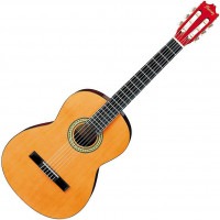 Guitare classique Ibanez GA3 AM