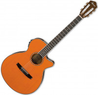 Guitare classique Ibanez AEG10NII