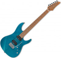Ibanez Signature Martin Miller MM1 TAB Japan