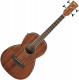 Basse acoustique & électro Ibanez PNB14E OPN