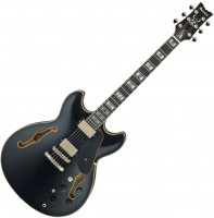 Ibanez Signature John Scofield JSM20 BKL