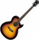 Guitare électro-acoustique Ibanez Signature Joe Satrinani JSA5-VB