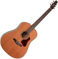 Guitare folk Seagull Coastline Momentum A/E HG