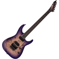 Guitare électrique LTD M-1000 Deluxe (HH, EMG, TREM, EB)