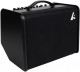 Combo guitare Godin Acoustic Solutions ASG-8 120