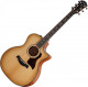 Guitare électro-acoustique Taylor 500 series 514ce Urban Ironbark