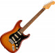 Guitare électrique Fender Stratocaster Player Plus (MEX, PF)