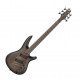 Basse 5 Cordes et plus Ibanez SRC6M-BLL Multiscale