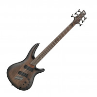 Basse 5 Cordes et plus Ibanez SRC6M-BLL Multiscale