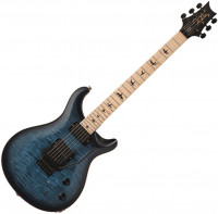Guitare électrique PRS USA Dustie Waring DW CE 24 Floyd