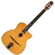 Guitare folk Rudy Larna WM600A