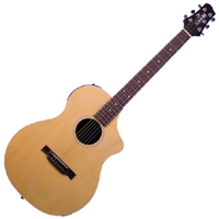 Line 6 Variax Acoustic 300 Steel