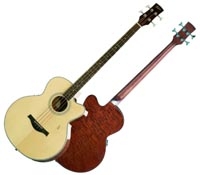Basse acoustique & électro Hofner HA B03