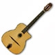 Guitare folk Rudy Larna WM700A