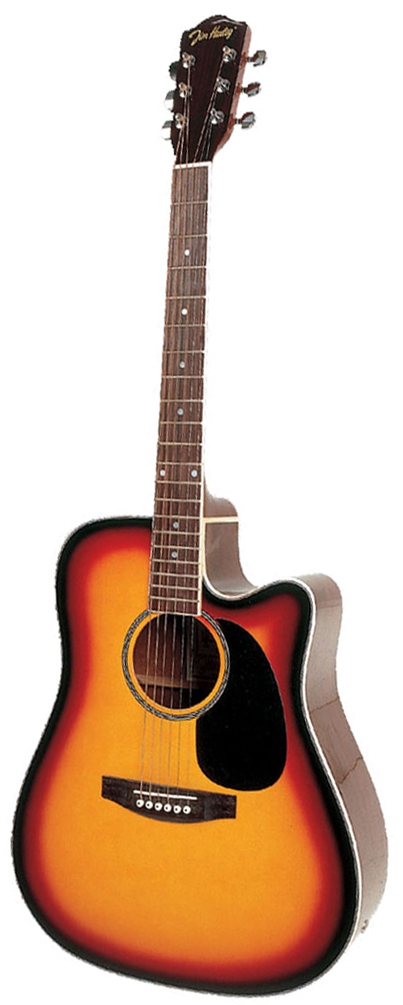 Guitare Jim Harley Colorado ECR 30 C : infos / achat / vente