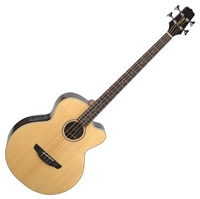 Takamine Bass Guitars series EG512C