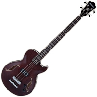 Basse acoustique & électro Ibanez Artcore custom AGB140