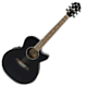 Guitare électro-acoustique Ibanez AEG10E