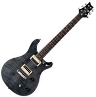 PRS SE Custom