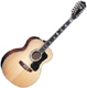 Guitare folk Guild F 512