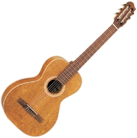 Guitare folk Art & Lutherie Compacte 25501