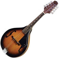 Johnson Guitar MA-100 Lynchburg