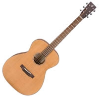 Breedlove Passeport series OM FS