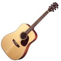 Cort Earth 100