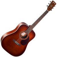 Cort Earth 70