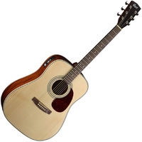 Cort Earth 70E