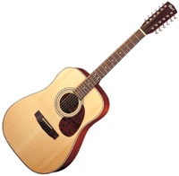 Cort Earth 70-12