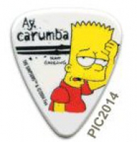 Grover Allman PIC2014 Simpsons