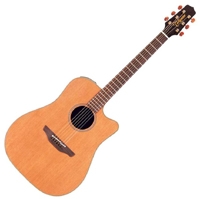Takamine Natural TAN10C