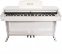 Delson Concerto 8871 + banquette